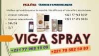 Photo de Fall Viga Spray